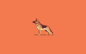 德國牧羊犬以極簡平面插圖風格呈現，背景為橙色