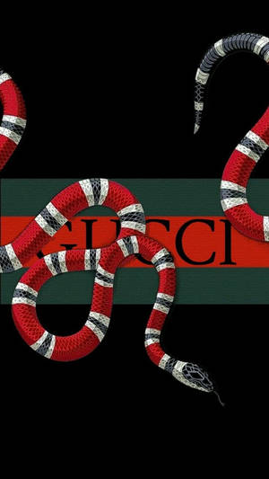 Gucci 標誌，周圍纏繞著一條紅白黑蛇。 — 蛇 壁紙