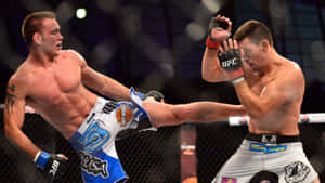 兩名戴著MMA手套的男性拳手在八角籠內交換高踢和擋格。