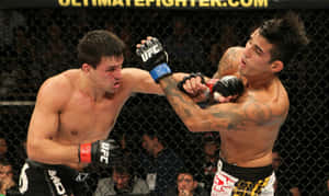 兩名男性拳手在比賽期間於UFC八角鐵籠內互相出拳。