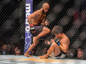 兩名MMA拳手在UFC比賽中於八角籠內戰鬥。