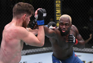 兩名男性MMA拳手在UFC八角籠中互毆。