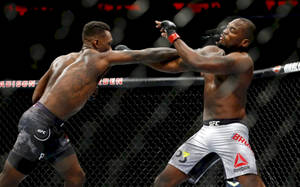兩名MMA拳手在UFC八角籠內互相出拳。 — 摔角 GIF 壁紙