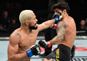 兩名戴著MMA拳套的男性拳手在八角鐵籠內互相出拳。