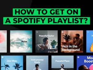 用於放鬆音樂類型（如爵士樂和白噪音）的Spotify播放清單封面網格。