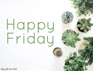 白色背景上被盆栽多肉植物和仙人掌環繞的Happy Friday文字。 — 仙人掌傑克 壁紙