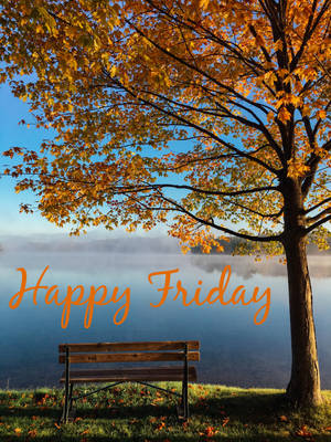 秋樹下霧湖邊的木凳，帶有Happy Friday文字。 — 秋天 壁紙