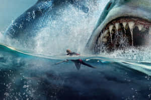 一名衝浪者在海洋中被一條巨大鯊魚襲擊。