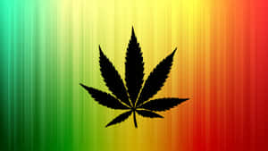 黑色大麻葉在彩虹漸變背景上。