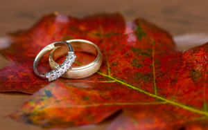 紅色秋葉上的兩枚結婚戒指 — 情侶 GIF 壁紙