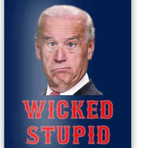 一個穿著西裝的男人，臉部皺起，藍色背景上有紅色文字寫著「WICKED STUPID」。
