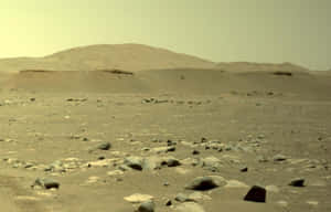 火星表面，散落岩石與起伏山丘，朦朧天空 — 火星 GIF 壁紙