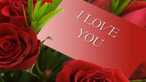 紅玫瑰和寫有I LOVE YOU的卡片。