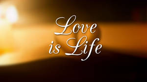 在溫暖的金色模糊背景上，以優雅的白色草書顯示 Love is Life 文字。 — 愛就是愛 壁紙