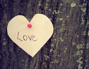 心形便條，上面寫著love，釘在樹皮上。