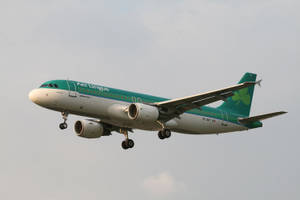 愛爾蘭航空飛機在陰天背景下放下起落架下降。