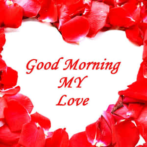 紅色玫瑰花瓣在訊息 Good Morning MY Love 周圍形成一個心形。