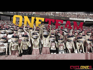 穿著青蛙吉祥物服裝的球迷在「ONE TEAM」標誌下的體育場歡呼。