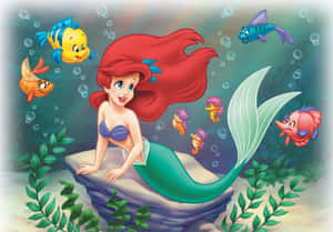 人魚公主艾莉奧，紅髮綠尾，坐在岩石上，魚兒在她周圍游動。