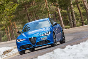 藍色 Alfa Romeo 房車在積雪的森林道路上行駛