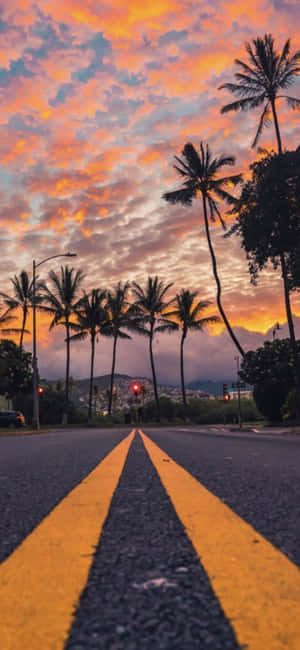 棕櫚樹排列在道路兩旁，下方是火紅的日落天空。 — Galaxy A16 壁紙