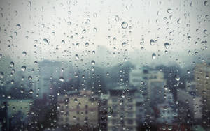 灰色日子裡，窗戶上的雨滴俯瞰著模糊的城市景觀。