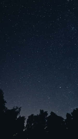 底部有樹木剪影的星空夜景。