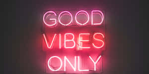 粉紅色霓虹燈牌在深色牆上寫著good vibes only — 氛圍 GIF 壁紙
