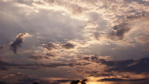 日落天空，樹梢上方有金色光芒和雲朵剪影