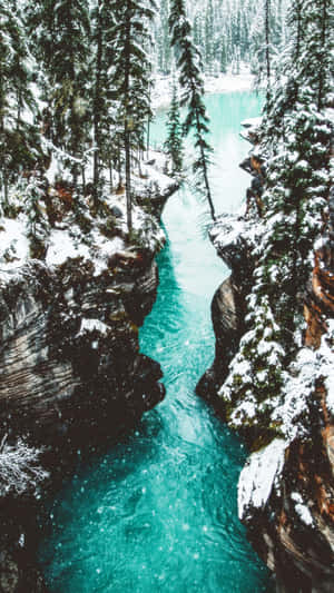 白雪覆蓋的松樹環繞著一條流經岩石峽谷的綠松石色河流。 — 9:16 壁紙