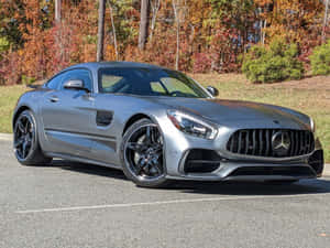 銀色 Mercedes-AMG GT 跑車停在被秋樹環繞的道路上。