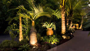 夜間被溫暖燈光照亮的熱帶花園小徑。