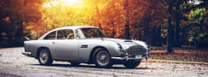 銀色經典 Aston Martin DB5 停在落葉滿地的森林道路上，沐浴在金色夕陽中。