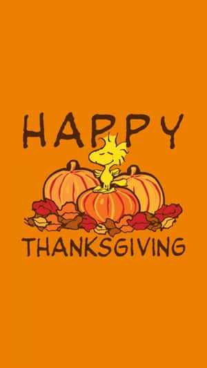 Happy Thanksgiving 文字與卡通小鳥在南瓜和葉子上
