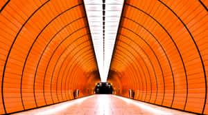 橙色瓷磚地鐵隧道，白色天花燈，盡頭有火車。 — 建築 壁紙