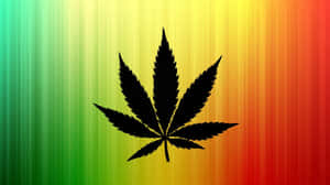 黑色大麻葉在彩虹漸變背景上