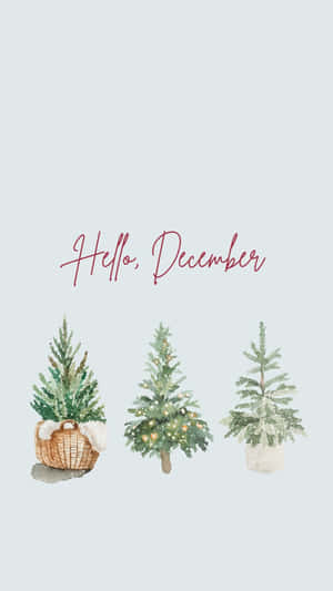 三個水彩聖誕樹，放在籃子花盆和裸花盆中，並有 hello december 文字。