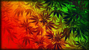 彩虹漸變圖案的大麻葉。
