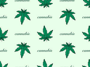 在淺綠色背景上以重複圖案排列的綠色大麻葉和文字。