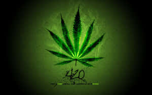 發光的綠色大麻葉，帶有煙霧和文字420，深色背景