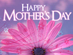 Happy Mother's Day 問候，帶有一朵大粉紅色花朵和裝飾性漩渦。