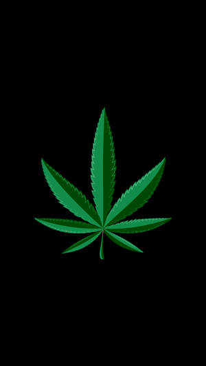 黑色背景上風格化的綠色大麻葉。