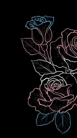 黑色背景上的霓虹粉紅和藍色輪廓玫瑰 — 驕傲 GIF 壁紙
