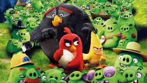 Angry Birds角色被綠色豬包圍在草地上。