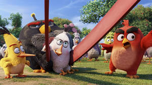 Angry Birds角色在陽光明媚的戶外場景中站在草地上。