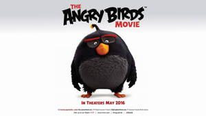 Angry Birds 電影海報，主角是戴紅色眼鏡的黑鳥。