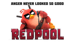 紅色Angry Bird著住Deadpool服裝，帶有'REDPOOL'文字同標語。