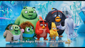 冰凍叢林環境中的Angry Birds角色。