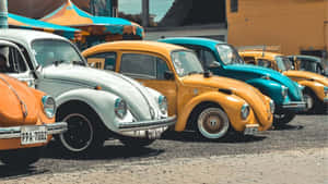 懷舊相片 — 復古gif 壁紙