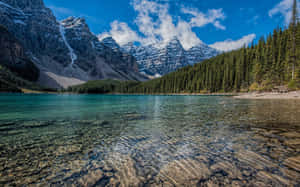 寧靜的高山湖泊，湖水清澈，積雪的山峰被松樹環繞。